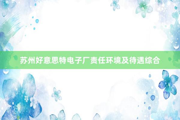 苏州好意思特电子厂责任环境及待遇综合